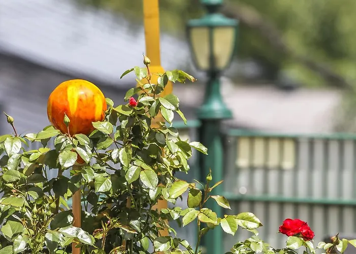 Апартаменти Buchner *